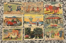 Vintage Comic & Linen Postcard Lot of 9 WWII Houston TX Dog Pin-Up 1930s-40s picture