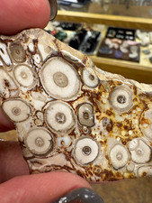 70s rare polished slab specimen appears to be orbicular rhyolite or ? picture