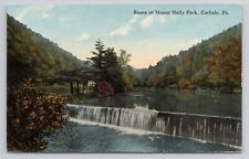 Scene in Mount Holly Park Carlisle Pennsylvania c1910 Antique Postcard picture