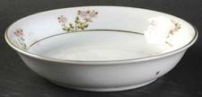 Noritake Hakone Fruit Dessert  Bowl 440010 picture