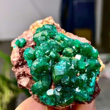 83G Natural green dioptase emerandine gemstone cluster mineral specimen Crystal picture