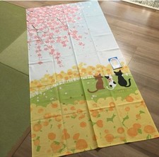 Noren long picture