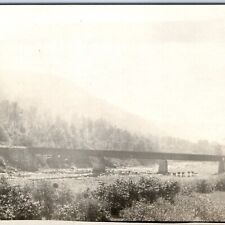 c1910s Unknown River Railway Bridge RPPC Stick Telegraph Real Photo Postcard A95 picture