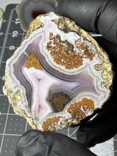 Stunning Laguna Agate Purple Banding Plumes picture