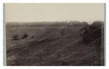 Orange Turnpike Virginia Palmer's Field Standard Postcard COPY RPPC picture