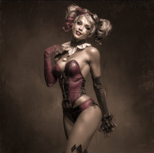 Harley Quinn Art Print DC Comics Wall Art Poster 20x20 Black Frame v1005 picture