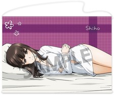 Girls und Panzer Shiho Nishizumi B2 Tapestry (Soine B ver.) Japan picture