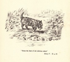 Vintage Cairn Terrier Print Shakespeare Henry V Quote Print 7065a picture
