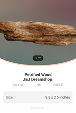 petrafied natural wood picture
