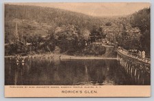 Rorick's Glen Elmira NY Postcard Early 1900s Scenic Bridge Lake View picture