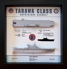 CUSTOM: USS Tarawa & USS Enterprise CVN65 picture