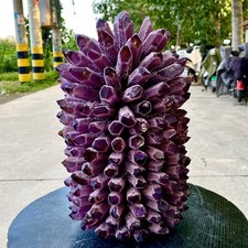 26LB New Find purple Phantom Crystal Quartz Cluster Mineral Specimen Healing picture