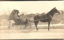 MARRIED COUPLE IN HORSE & BUGGY original real photo postcard ANTIQUE RPPC c1910 picture