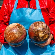 2PCS 6.82 LB Natural Petrified Wood Agate Sphere Crystal Healing Specimen 4093 picture
