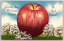 POSTCARD- Greetings from Winchester VA the Apple capital picture