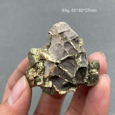 Natural Rare Crystal Stone Septarium Pyrite Symbiotic Rough Mineral Specimen Gem picture