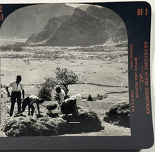 Arranging Hay on Wire Sledge, Bavarian Hayfields Looking Oberammergau Stereoview picture