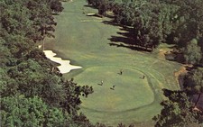 1969 TX Houston Champions Golf Course Cypress Creek Hole #11 green Postcard A48 picture