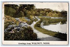 Walnut Nebraska NE Postcard Greetings Woman On Path Walk Lake Flower Scene c1920 picture