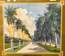 Antique 1920s Avenue Brand Citrus Crate Label Victoria Avenue Ass'n Riverside picture