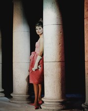 British actress humanitarian Audrey Hepburn Holly Golightly a scen- Old Photo picture