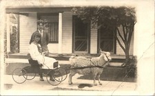 SAILOR GIRL IN SHEEP-CARRIAGE real photo postcard FUNNY c1910 RPPC picture