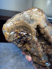 Amazing Cold Water Agate Minnesota 2lb Lapidary Display Specimen picture