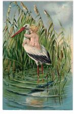 Birth Announcement Baby on Stork  Vintage Postcard LA1 picture