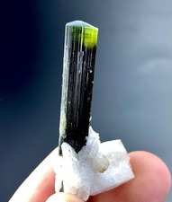 36 Carat Green Cap Tourmaline Crystal Specimen From Pakistan  picture