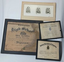 Vintage Livingston TX Historical Memorabilia Lot 1917 Diploma FFA Certificates picture