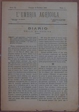 L'Umbria Agricola 15 Janvier 1885 Vis Americaine Filossera Umbria Agriculture picture