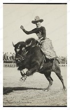 Cheyenne Wyoming Bucking Buffalo Standard Postcard COPY RPPC picture