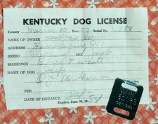 Vintage 1956-57 Kentucky Dog License with Tag - Mercer County - Great condition picture