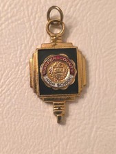 Vtg Warren County High School Key Charm Pendant Pin Gold Black Graduation TN picture