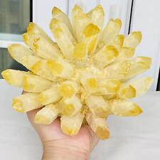 New Find Yellow Phantom Quartz Crystal Cluster Mineral Specimen Healing 2880G picture