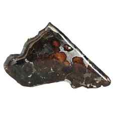 6.9g excellent SERICHO Pallasite olive meteorite slices - from Kenya QA504 picture