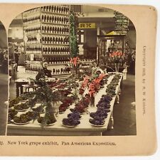 New York Grape Exhibit Stereoview c1902 Tinted Pan American Exposition B2135 picture