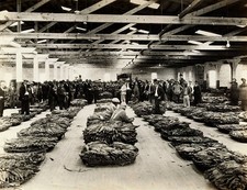 Group Of Men Standing In A Tobacco Warehouse In Virginia Historic Old Photo picture
