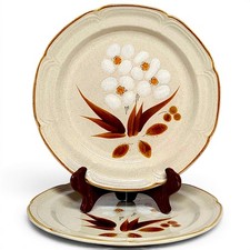 2pc Discontinued Hearthside Castlewood Stoneware Dinner Plate 10.5