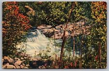 Lincoln National Forest New Mexico Rio Ruidoso Waterfalls Linen Postcard picture