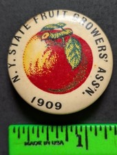 Vintage 1909 New York Fruit Growers Pinback Pin picture