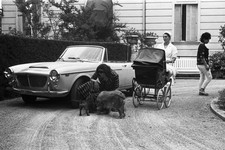 Silvana Mangano with her daughter Francesca a pram her dogs at her- Old Photo picture