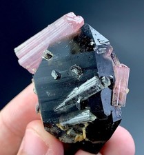 186 Carat Pink Tourmaline Crystal Specimen From Afghanistan picture