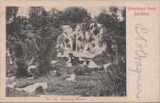 Postcard Greetings from Jamaica No 54 Roaring River  picture