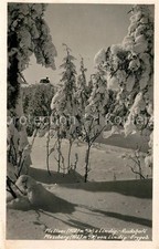 Plessberg Plesivec picture