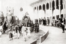 Delhi Durbar India Elephants Procession Maharajas Crowd Vtg. Photo 19thC. picture