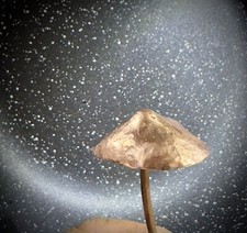 Handmade Copper Fairy Mushrooms Add Some Magic To Your Garden Or Potted Plants picture