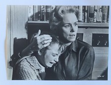 The Birds Alfred Hitchcock Production Still  picture