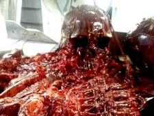 GORY PILE OF GUTS & BONES, Halloween Props, OOAK  BY: MADMAT picture