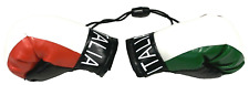 Italia Mini Hanging Boxing Gloves Red White Green Italy  picture